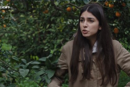 Η Γη της Ελιάς επεισόδια: Ο χωρισμός Στέφανου - Βασιλικής και η δίκη!